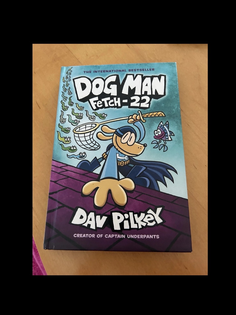 Scholastic Dog Man Fetch-22 Teal and Purple Cover